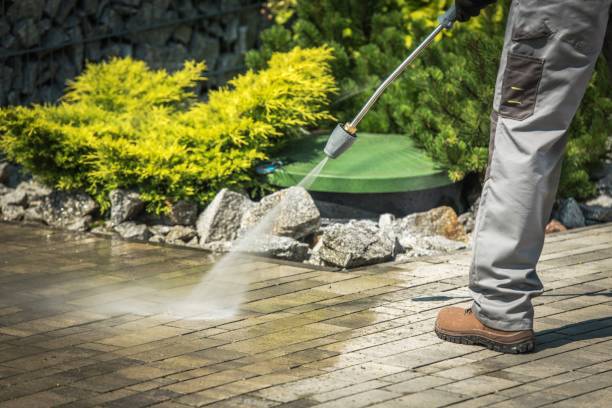 Animal Enclosure Cleaning in Centerton, AR